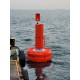 FLC3000 lateral buoy