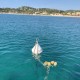 Diameter 650mm mooring buoy