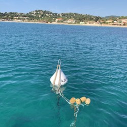 Diameter 650mm mooring buoy
