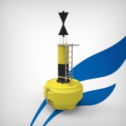 FLC2200 Cardinal buoy